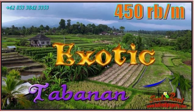 Affordable LAND IN TABANAN BALI FOR SALE TJTB560