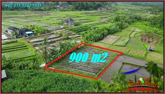 Affordable LAND IN TABANAN BALI FOR SALE TJTB560