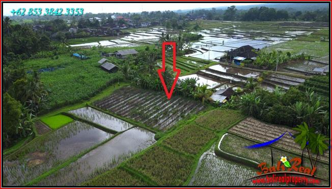 Affordable LAND IN TABANAN BALI FOR SALE TJTB560