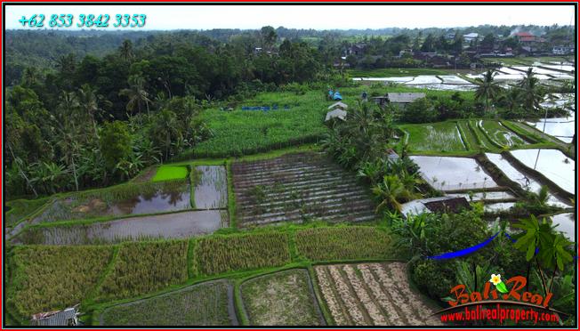 Affordable LAND IN TABANAN BALI FOR SALE TJTB560