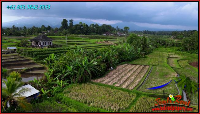 Affordable LAND IN TABANAN BALI FOR SALE TJTB560