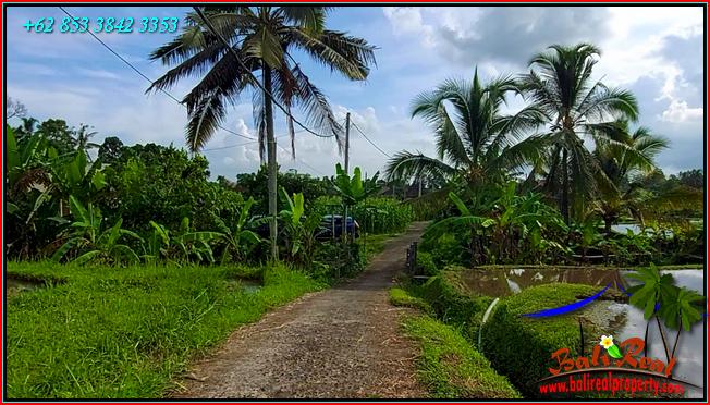 Affordable LAND IN TABANAN BALI FOR SALE TJTB560