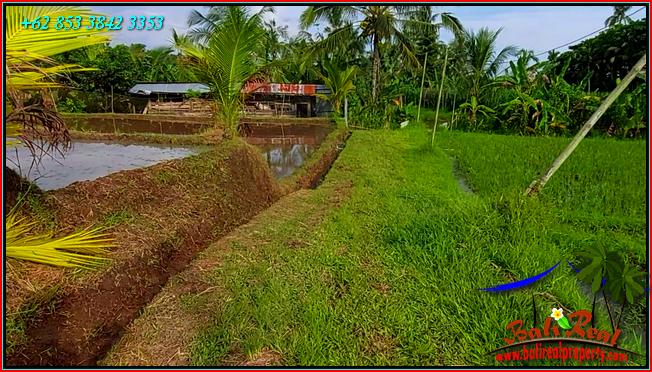 Affordable LAND IN TABANAN BALI FOR SALE TJTB560