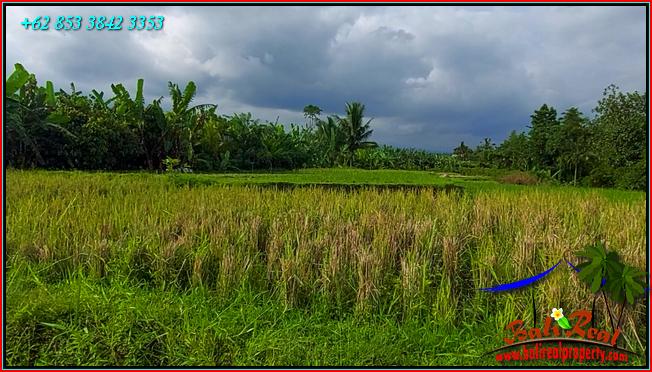 Affordable LAND IN TABANAN BALI FOR SALE TJTB560