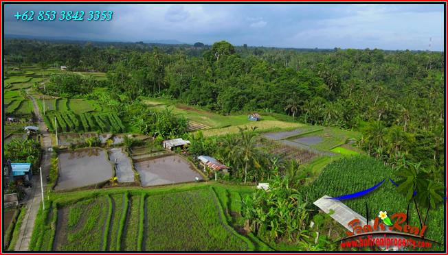 Affordable LAND IN TABANAN BALI FOR SALE TJTB560