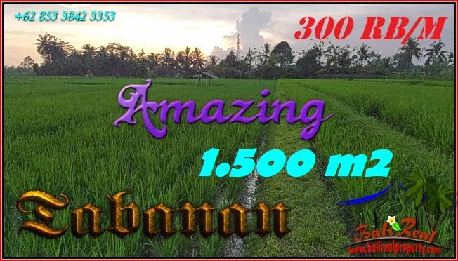 Exotic LAND SALE IN TABANAN BALI TJTB561