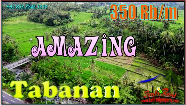 Beautiful 2,400 m2 LAND FOR SALE IN TABANAN TJTB562