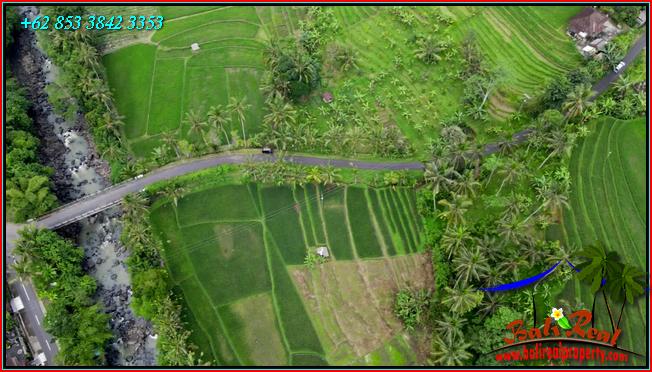 Beautiful 2,400 m2 LAND FOR SALE IN TABANAN TJTB562