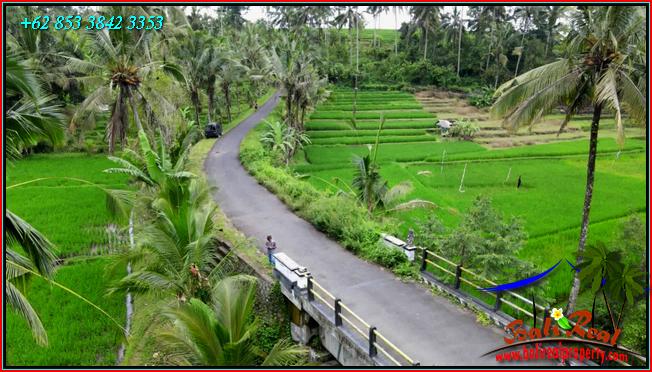 Beautiful 2,400 m2 LAND FOR SALE IN TABANAN TJTB562