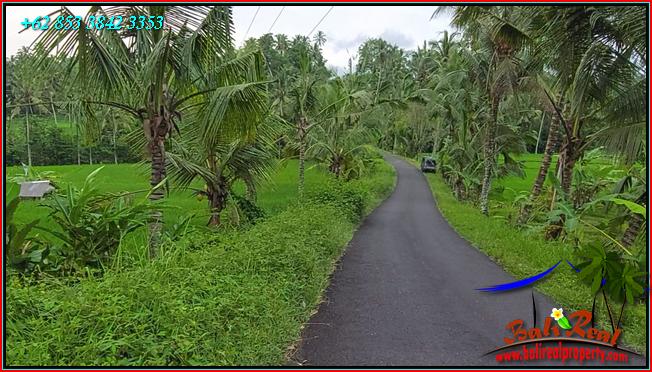 Beautiful 2,400 m2 LAND FOR SALE IN TABANAN TJTB562