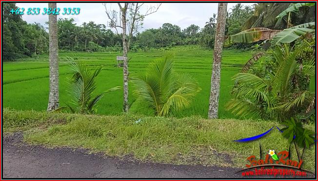 Beautiful 2,400 m2 LAND FOR SALE IN TABANAN TJTB562