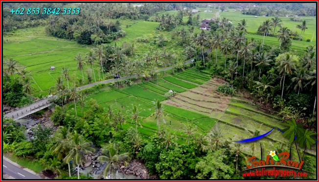 Beautiful 2,400 m2 LAND FOR SALE IN TABANAN TJTB562