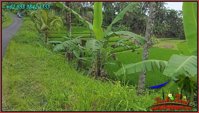 Beautiful 2,400 m2 LAND FOR SALE IN TABANAN TJTB562