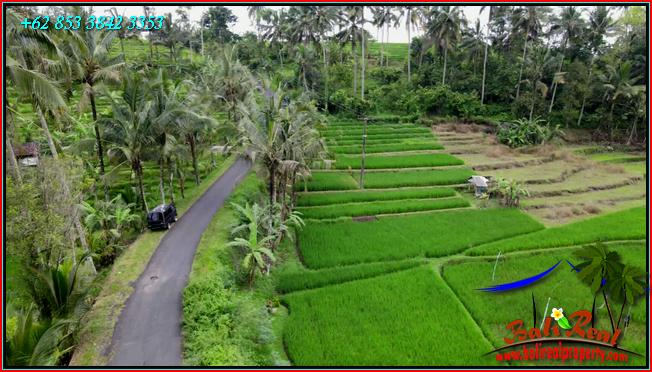 Beautiful 2,400 m2 LAND FOR SALE IN TABANAN TJTB562