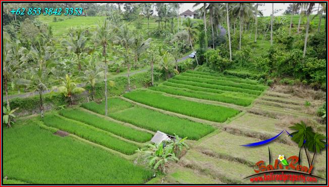 Beautiful 2,400 m2 LAND FOR SALE IN TABANAN TJTB562