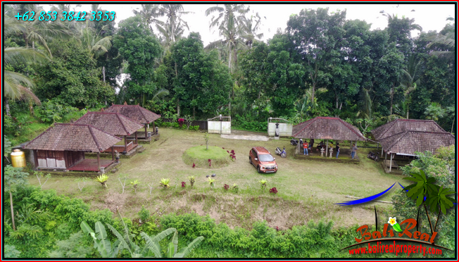 Pupuan Tabanan BALI 4,000 m2 LAND FOR SALE TJTB541