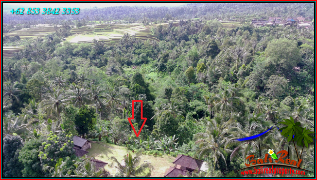 Pupuan Tabanan BALI 4,000 m2 LAND FOR SALE TJTB541