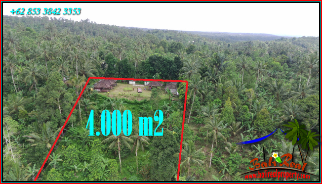 Pupuan Tabanan BALI 4,000 m2 LAND FOR SALE TJTB541