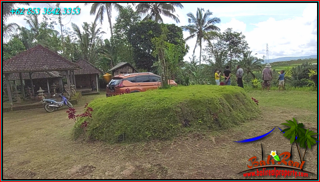 Pupuan Tabanan BALI 4,000 m2 LAND FOR SALE TJTB541