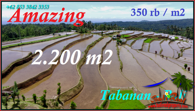 Exotic PROPERTY Pupuan Tabanan LAND FOR SALE TJTB542