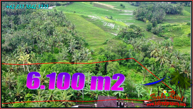 FOR SALE Affordable 6,100 m2 LAND IN Selemadeg Timur TJTB547