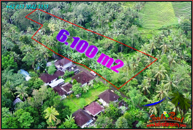 FOR SALE Affordable 6,100 m2 LAND IN Selemadeg Timur TJTB547