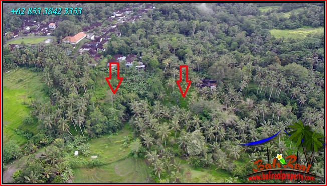 FOR SALE Affordable 6,100 m2 LAND IN Selemadeg Timur TJTB547