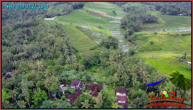 FOR SALE Affordable 6,100 m2 LAND IN Selemadeg Timur TJTB547